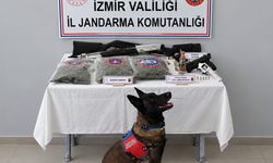 İzmir’de jandarmadan uyuşturucu operasyonu