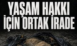 HAYVAN HAKLARI SAVUNUCULARI 8 KASIM’DA ANTALYA’DA BULUŞUYOR'