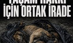 HAYVAN HAKLARI SAVUNUCULARI 8 KASIM’DA ANTALYA’DA BULUŞUYOR'