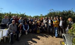 Ege’de mandalina sezonu ihracatla başladı