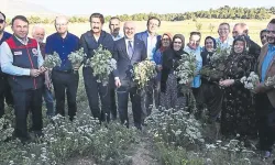 Anadolu’nun kekiği Denizli’den yükseliyor