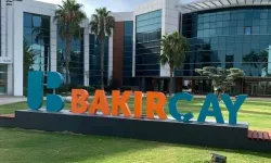 Bakırçay Üniversitesi 28 akademik personel alacak