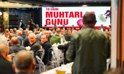 Birlikte Yönetim, Sahada Hizmet