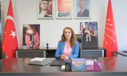 CHP GENEL BAŞKAN YARDIMCISI DR. GAMZE AKKUŞ İLGEZDİ: "ÖZEL HASTANELERDE HEKİM TAŞERON, HASTA MÜŞTERİ YAPILDI!"