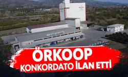 Aydın'da 47 yıllık üretici kooperatifi ÖRKOOP konkordato ilan etti