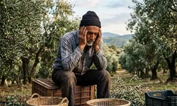 Ege’de zeytin üreticileri için destek çağrısı