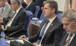 “DAYANIKLILIK ÖLÇEN, ‘HA GAYRET’ DİYEN BÜTÇE Mİ OLUR?”