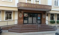 Bornova’da 83 köpek belediyenin yerleşkesine alındı