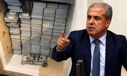 Şamil Tayyar'dan "fon" çıkışı:  Aç gözlüler devleti zehirledi