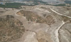 İzmir’de yanan ormanlar için 1,3 milyon fidan hedefi