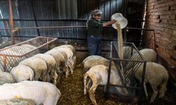 Meraları yanan çiftçiye kış öncesi destek