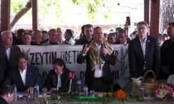 Özgür Özel’den zeytin üreticisine destek çağrısı