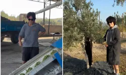 Oyunculuğa ara veren Filiz Taçbaş zeytin topluyor