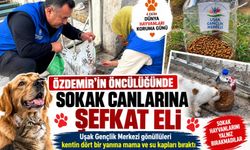 Uşak’ta sokak hayvanlarına gençlerden şefkat eli