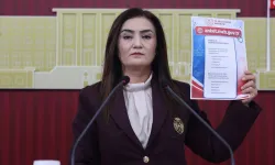 Sevda Erdan Kılıç: Ücretsiz okul yemeği için takvim açıklansın