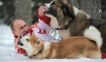 Putin köpekleriyle poz verdi