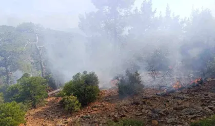 Denizli'de korkutan orman yangını