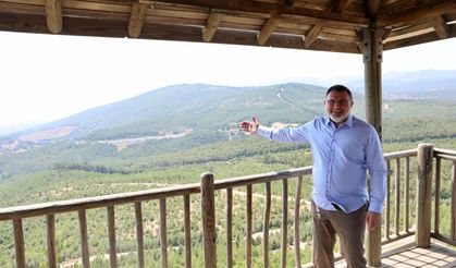 İzmir'de yanan alanlar yeniden yeşerdi