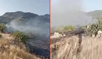 Diyarbakır’ın Dicle ilçesindeki örtü yangını rüzgârla büyüdü