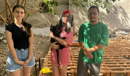 Konak’ta sokak kedileri için ‘Kedi Mahallesi’