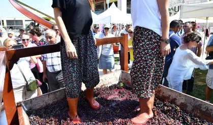 URLA'DA BAĞBOZUMU ŞENLİKLERİ BAŞLIYOR