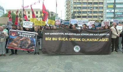 Hayvan hakları savunucularından Ege Üniversitesi kampüsündeki köpeklerin toplatılmasına tepki