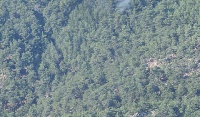 Muğla'da orman yangını