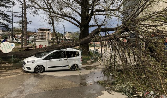Bursa'da saatteki hızı 100 kilometreye yaklaşan lodos etkisini sürdürüyor
