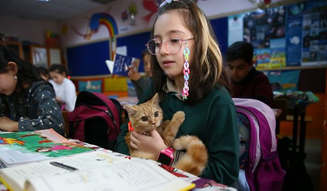 "Fıstık" isimli kedi, İzmir'deki kitap okuma projesinin maskotu oldu