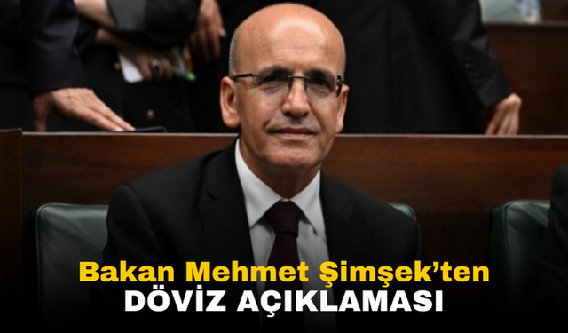 Hazine ve Maliye Bakanı Şimşek'den Döviz Açıklaması