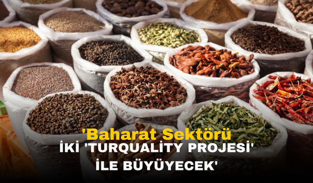 Türk Baharat ve Bitki Çayı Sektörüne Yeni Bir Soluk: Turkish Herbal Tea
