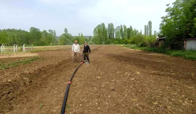 Hisarcık'ta pancar üreticileri sulama çalışması başladı