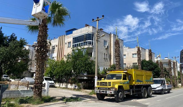 Milas Belediyesi elektrik kesintisini fırsata çevirdi
