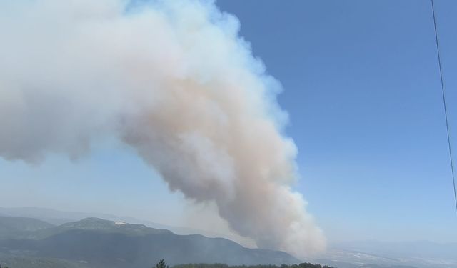 Sondakika- İzmir Menderes Çamönü- Değirmendere arasında orman yangını
