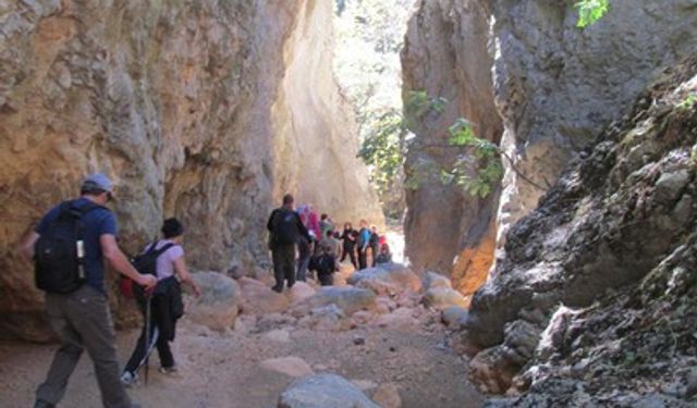 İzmir’de bir yürüyüş rotası: Ansızca Kanyonu