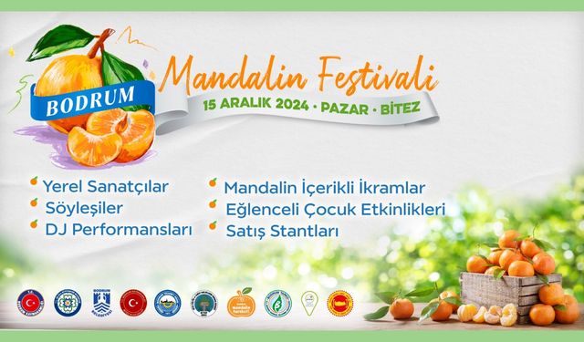 Bodrum Mandalin Festivali 15 Aralık'ta başlıyor