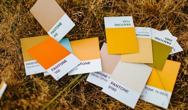 Pantone yeni yılın rengini açıkladı! 2025 yılının rengi ne?