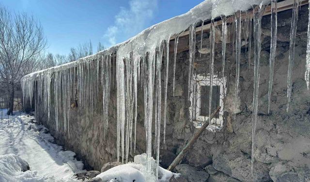 Ağrı'da soğuk hava etkisini gösteriyor