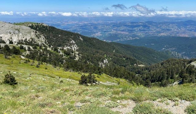 Kaz Dağları'nda doğal cennet: Beyoba Köyü