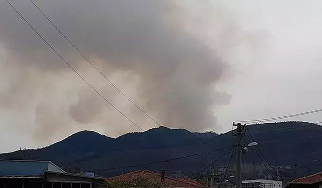 Balıkesir'de orman yangını! Ekipler müdahale ediyor
