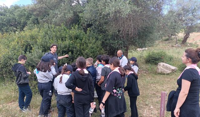 Genç izciler, Olivelo'da iki gün kamp yaptı