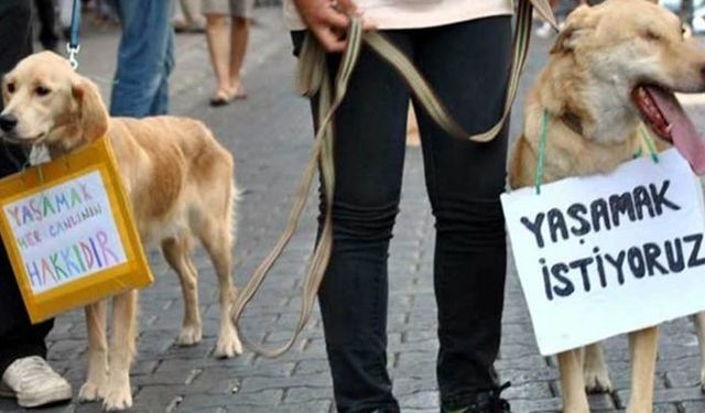 Can dostlar için yasanın iptali bekleniyor