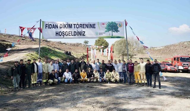 Milas’ta yanan sahalar fidanlarla canlanıyor