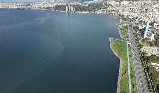 TARIM VE SANAYİ ATIKLARIYLA KİRLENEN GEDİZ, KÖRFEZİ ÖLDÜRÜYOR
