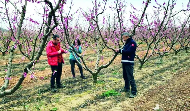Zirai dona karşı köklü dönüşüm çağrısı