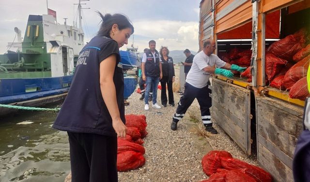 İzmir’de yasa dışı su ürünleri avcılarına ağır darbe: 7 ton kaçak midye ele geçirildi