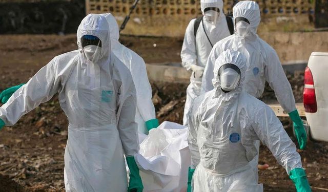 DSÖ Ebola salgını için küresel acil durum ilan etti