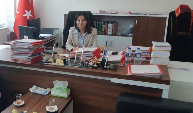 Bozdoğan'da yeni hakim ve savcıların isimleri belli oldu