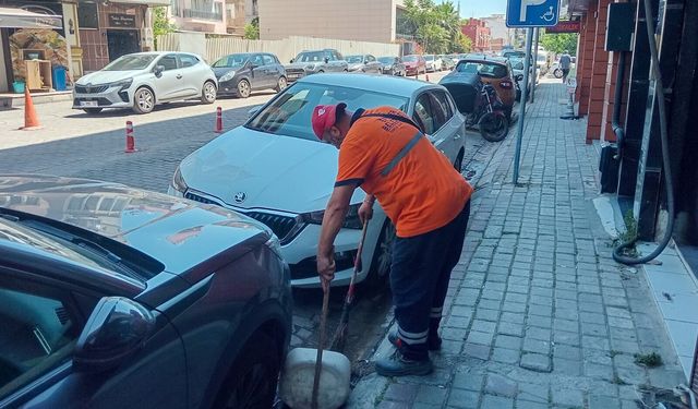 Efeler'de temizlik ve bakım çalışmaları sürüyor