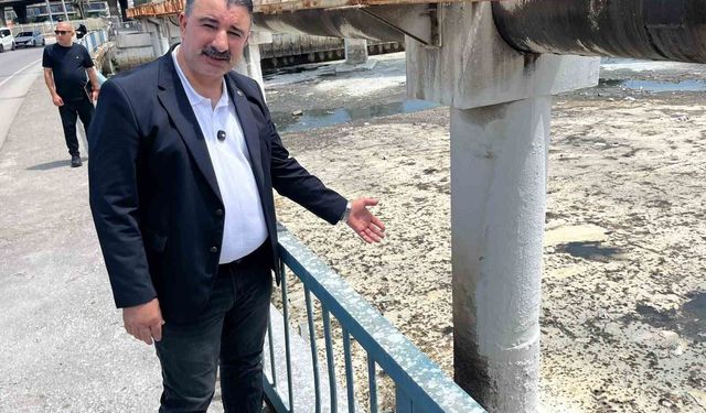 İzmir’de koku isyanı, Başdaş: "5 dakikadır maskesiz duramıyoruz"